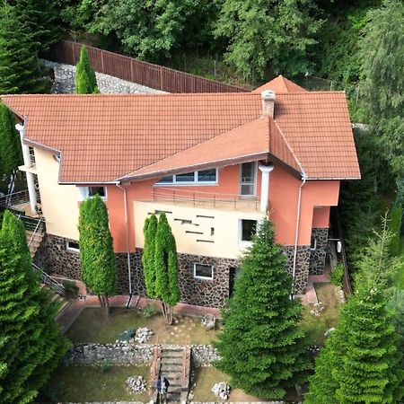 Marble Villa: Luxury estate - central but intimate Sinaia Extérieur photo