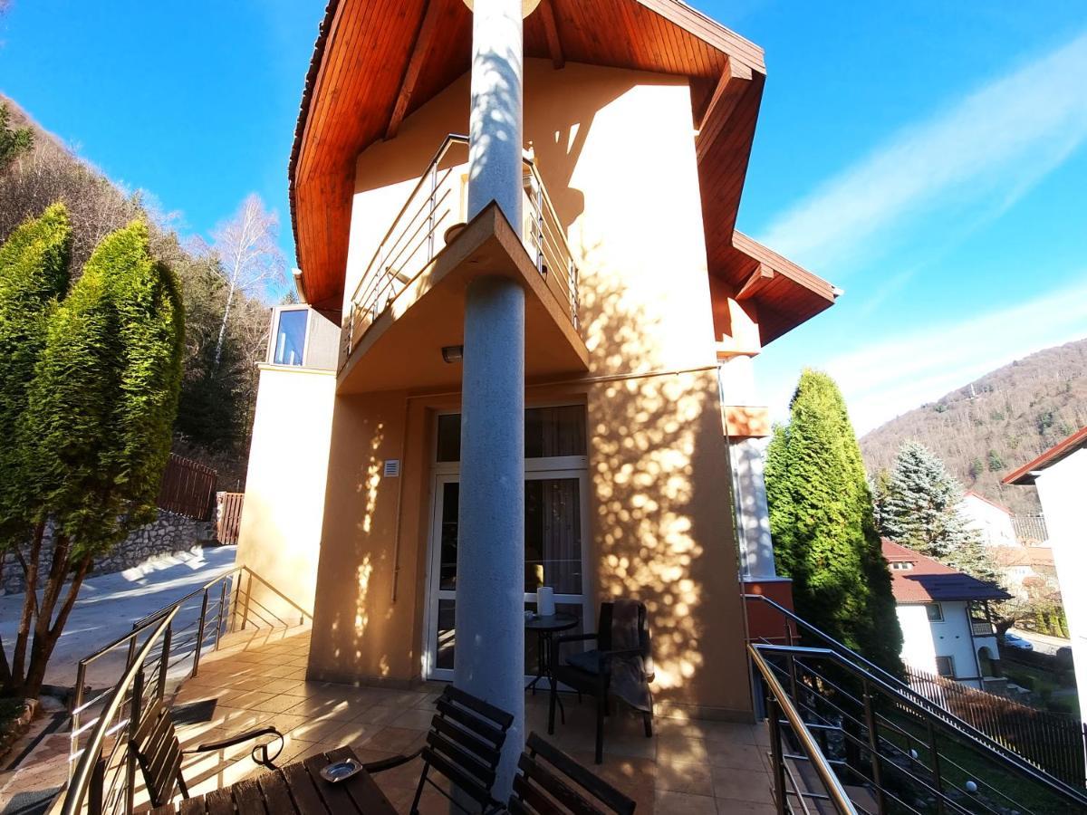 Marble Villa: Luxury estate - central but intimate Sinaia Extérieur photo