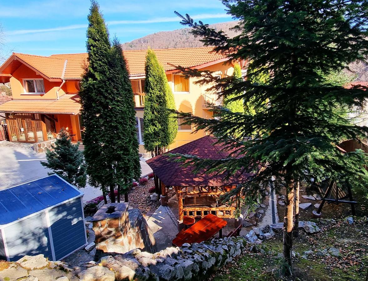Marble Villa: Luxury estate - central but intimate Sinaia Extérieur photo