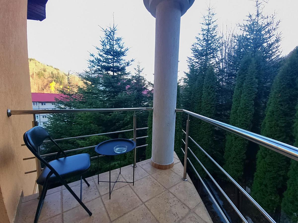 Marble Villa: Luxury estate - central but intimate Sinaia Extérieur photo