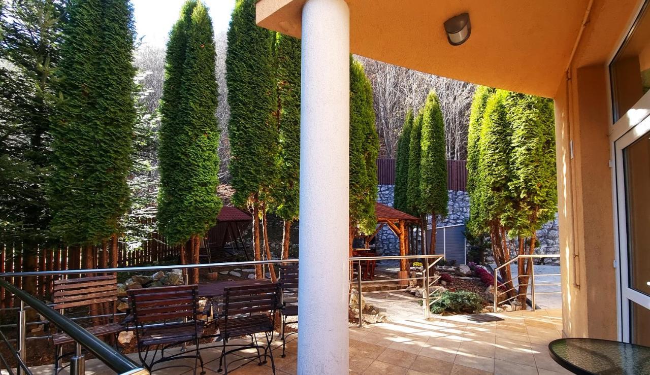 Marble Villa: Luxury estate - central but intimate Sinaia Extérieur photo
